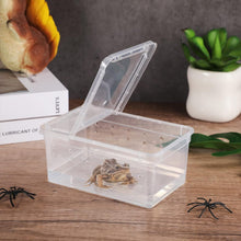 Bild im Galerie-Viewer laden, Futterbox ReptilHábitat - ReptilHábitat