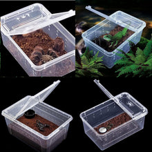Bild im Galerie-Viewer laden, Futterbox ReptilHábitat - ReptilHábitat