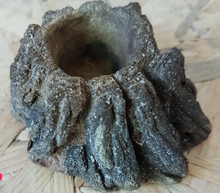 Bild im Galerie-Viewer laden, Terrarien-Schale XXS