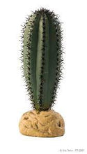 Bild im Galerie-Viewer laden, Saguaro Kaktus - Wüstenpflanze Exo Terra