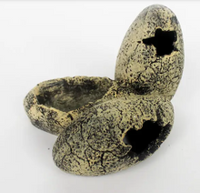 Bild im Galerie-Viewer laden, Fossile Eier Futter- und Refugium