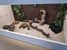 Bild im Galerie-Viewer laden, 200x40x40 (6748943548615)