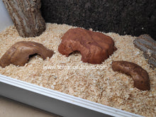 Bild im Galerie-Viewer laden, CUEVA REPTILE CAVE EXO TERRA (6748939845831)