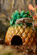 Bild im Galerie-Viewer laden, Ananas Höhle