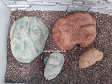 Bild im Galerie-Viewer laden, Höhle für Reptilien