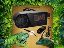 Bild im Galerie-Viewer laden, Präzisionsthermostat
