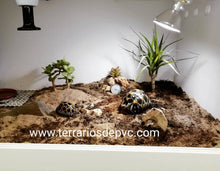 Bild im Galerie-Viewer laden, 75x40x40 (6748938928327)