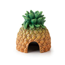 Bild im Galerie-Viewer laden, Ananas Höhle