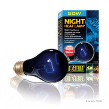 Bild im Galerie-Viewer laden, NIGHT Lampe Exo-Terra