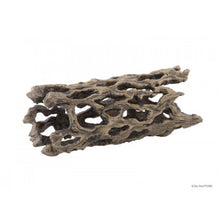 Bild im Galerie-Viewer laden, Esqueleto de CACTUS CHOLLA Exo-Terra (6748941287623)