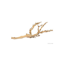 Bild im Galerie-Viewer laden, Rama FOREST BRANCH Exo-Terra (6748941385927)