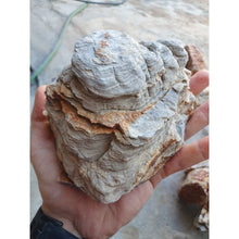 Bild im Galerie-Viewer laden, Naturstein - Multilayer Rot