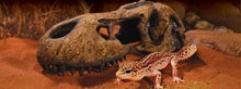 Bild im Galerie-Viewer laden, T-REX Versteck Exo-Terra