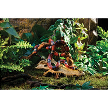 Bild im Galerie-Viewer laden, Refugio Cocodrilo Exo-Terra (7079450443975)