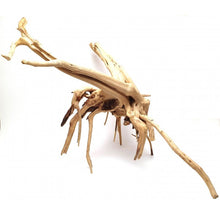Bild im Galerie-Viewer laden, Wurzelast Spider Gold
