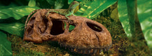 Bild im Galerie-Viewer laden, T-REX Versteck Exo-Terra