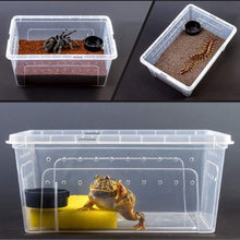 Bild im Galerie-Viewer laden, Futterbox ReptilHábitat - ReptilHábitat
