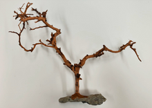 Bild im Galerie-Viewer laden, Natürlicher Baum mit Steinbasis
