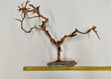 Bild im Galerie-Viewer laden, Natürlicher Baum mit Steinbasis
