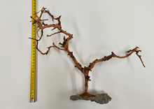 Bild im Galerie-Viewer laden, Natürlicher Baum mit Steinbasis
