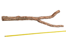 Bild im Galerie-Viewer laden, Große Korkrinde ca. 140 cm
