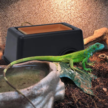 Bild im Galerie-Viewer laden, Feuchte Höhle - ReptilHábitat
