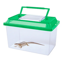 Bild im Galerie-Viewer laden, Pogona Set
