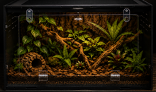 Bild im Galerie-Viewer laden, SLIM Terrarium

