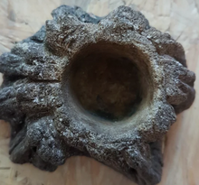 Bild im Galerie-Viewer laden, Terrarien-Schale XXS
