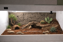 Bild im Galerie-Viewer laden, Felsiger Hintergrund - Schwarzer Sand
