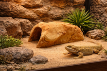 Bild im Galerie-Viewer laden, Harzhöhle für Reptilienterrarien

