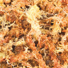 Bild im Galerie-Viewer laden, Sphagnum Moos Substrat Tropenterrarium, 4,5 l
