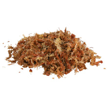 Bild im Galerie-Viewer laden, Sphagnum Moos Substrat Tropenterrarium, 4,5 l
