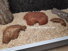 Bild im Galerie-Viewer laden, CUEVA REPTILE CAVE EXO TERRA (6748939845831)
