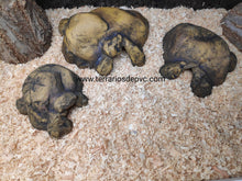 Bild im Galerie-Viewer laden, CUEVA NATURAL HIDING EXO TERRA (6748940009671)
