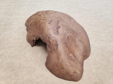 Bild im Galerie-Viewer laden, CUEVA REPTILE CAVE EXO TERRA (6748939845831)
