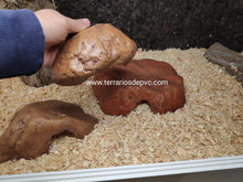 Bild im Galerie-Viewer laden, CUEVA REPTILE CAVE EXO TERRA (6748939845831)
