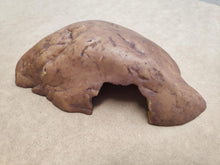 Bild im Galerie-Viewer laden, CUEVA REPTILE CAVE EXO TERRA (6748939845831)
