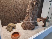 Bild im Galerie-Viewer laden, Fondo decorativo de corcho para terrarios (6748942205127)
