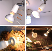 Bild im Galerie-Viewer laden, portabombillas portalamparas casquillos terrario de pvc (6748938436807)
