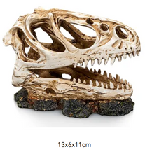 Bild im Galerie-Viewer laden, Schädel DINOSAURIER T-Rex
