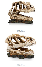 Bild im Galerie-Viewer laden, Schädel DINOSAURIER T-Rex

