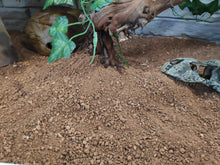 Bild im Galerie-Viewer laden, Substrat für Landschildkröten
