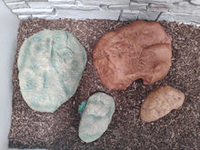 Bild im Galerie-Viewer laden, Höhle für Reptilien
