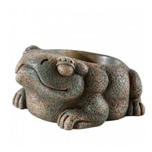 Bild im Galerie-Viewer laden, Bebedero FROG AZTECA Exo-Terra (6748941484231)
