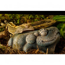 Bild im Galerie-Viewer laden, Bebedero FROG AZTECA Exo-Terra (6748941484231)
