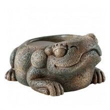 Bild im Galerie-Viewer laden, Bebedero FROG AZTECA Exo-Terra (6748941484231)

