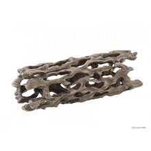 Bild im Galerie-Viewer laden, Esqueleto de CACTUS CHOLLA Exo-Terra (6748941287623)
