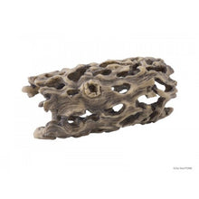 Bild im Galerie-Viewer laden, Esqueleto de CACTUS CHOLLA Exo-Terra (6748941287623)
