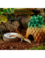 Bild im Galerie-Viewer laden, Ananas Höhle
